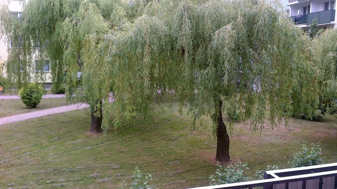 Zielona Herbowa Lublin Buitenkant foto
